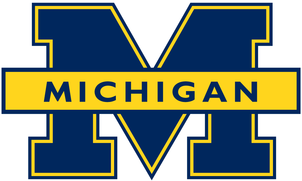 Michigan Wolverines 1996-2011 Primary Logo iron on transfers for clothing
